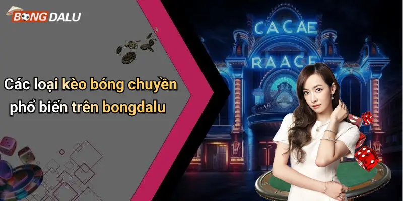 Các loại kèo bóng chuyền phổ biến trên bongdalu