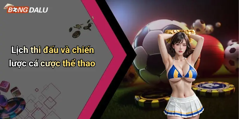 Lịch thi đấu và chiến lược cá cược thể thao