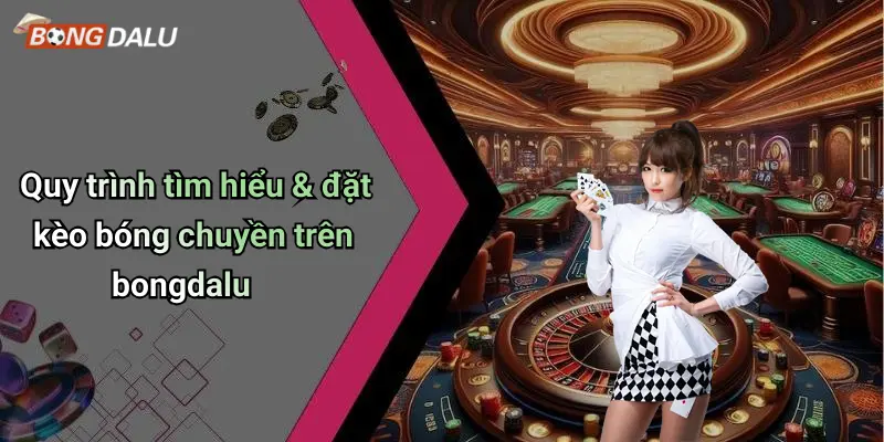Quy trình tìm hiểu & đặt kèo bóng chuyền trên bongdalu