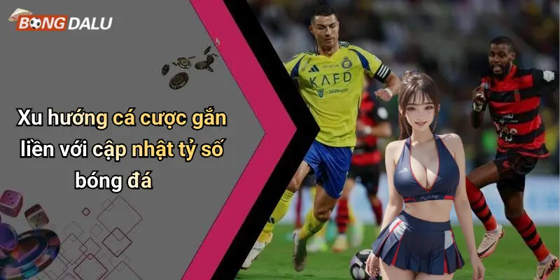 Xu hướng cá cược gắn liền với cập nhật tỷ số bóng đá