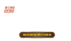 Mẹo cá cược dựa trên tỷ lệ nhà cái