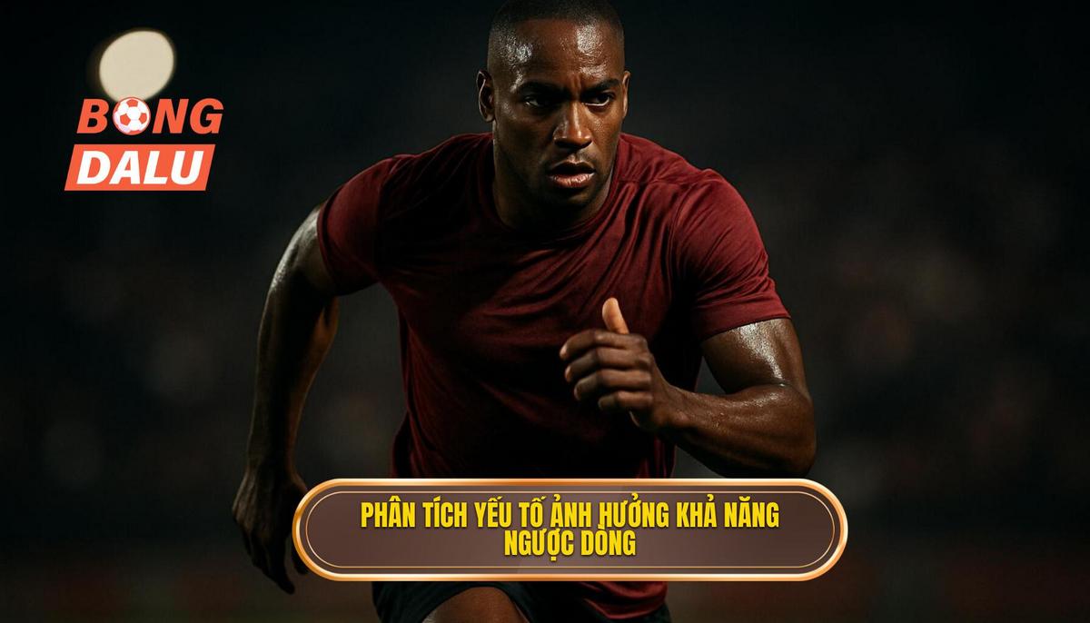 Phân Tích Yếu Tố Chuyên Sâu Ảnh Hưởng Đến Khả Năng Ngược Dòng