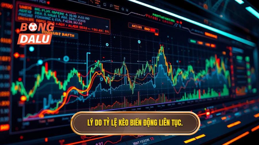 Tại sao nên theo dõi Bảng kèo nhà cái chính thức tại Bongdalu?